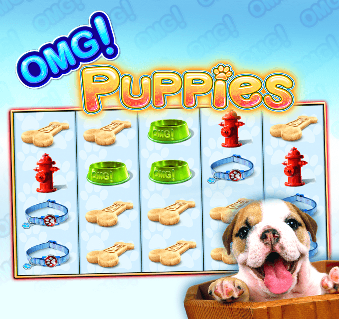 OMG!-Puppies2.png